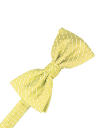 Buttercup Palermo Bowtie