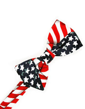 Load image into Gallery viewer, American Flag Bow Tie