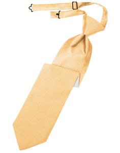 Apricot Solid Satin Long Tie