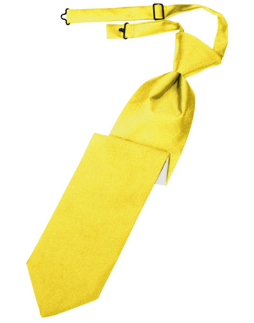 Sunbeam Solid Satin Long Tie